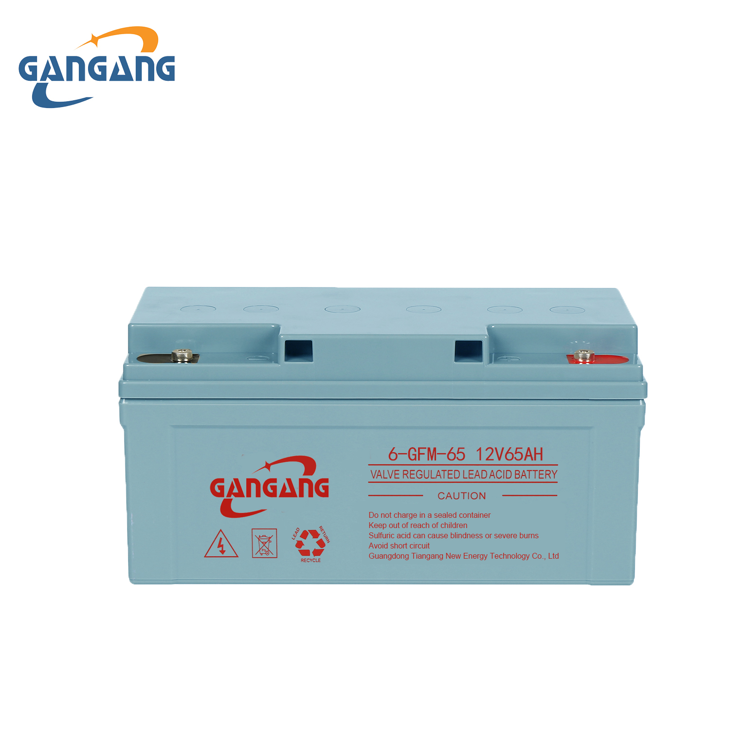 Lead acid battery 12V 65AH for UPS and EPS