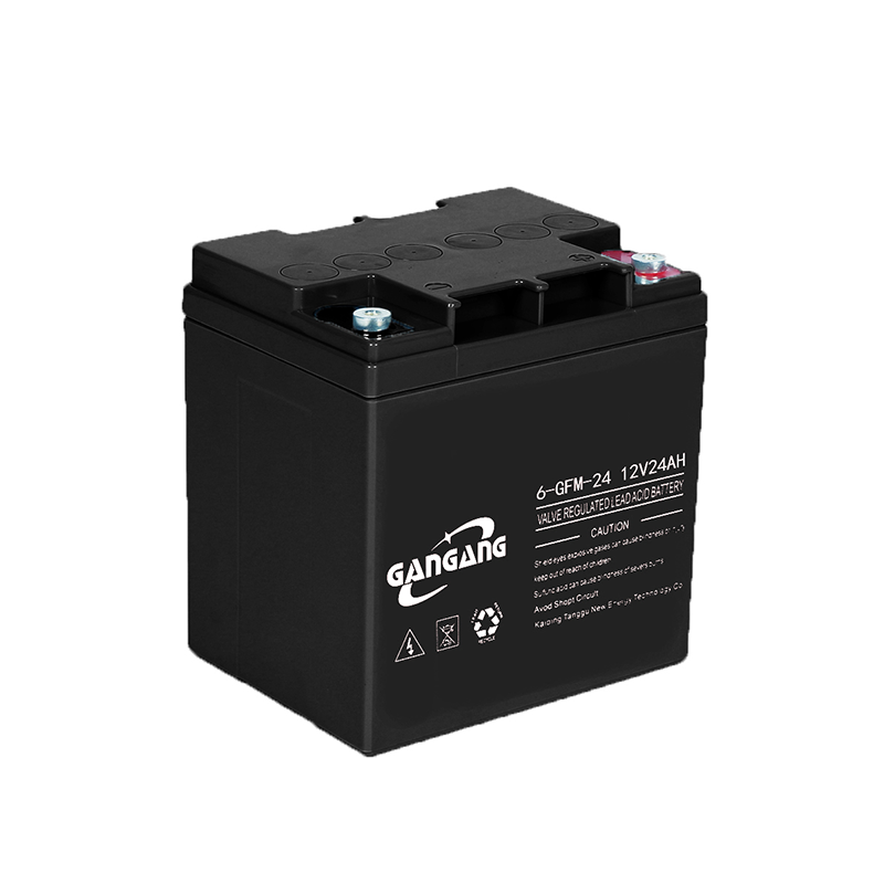 12V 24AH Maintenance Free AGM Battery