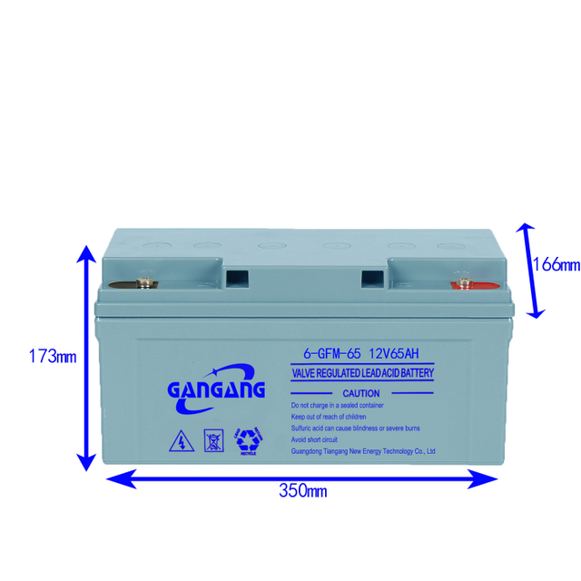 Lead acid battery 12V 65AH for UPS and EPS