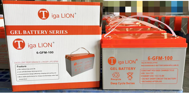  The Hottest and Popular solar battery in African solar market 12V 100AH Valve Regulated Lead acid Battery